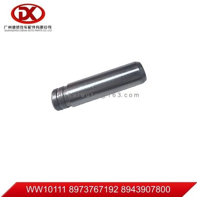 Isuzu 700P/4HK1/6HK1 Rehberi için uygundur; Valf 8973767192 8943907800